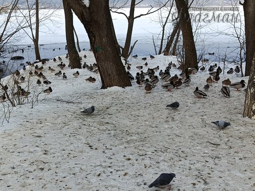 IMG_20260314_092619_403